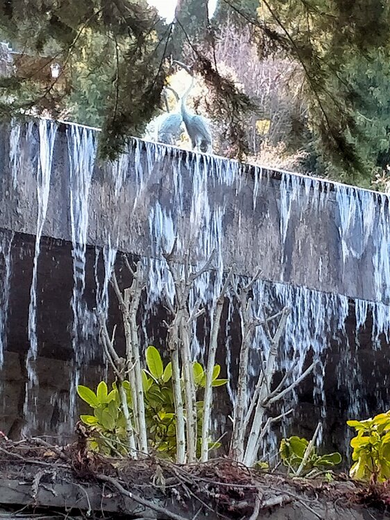 Фото крыма 2177.jpg