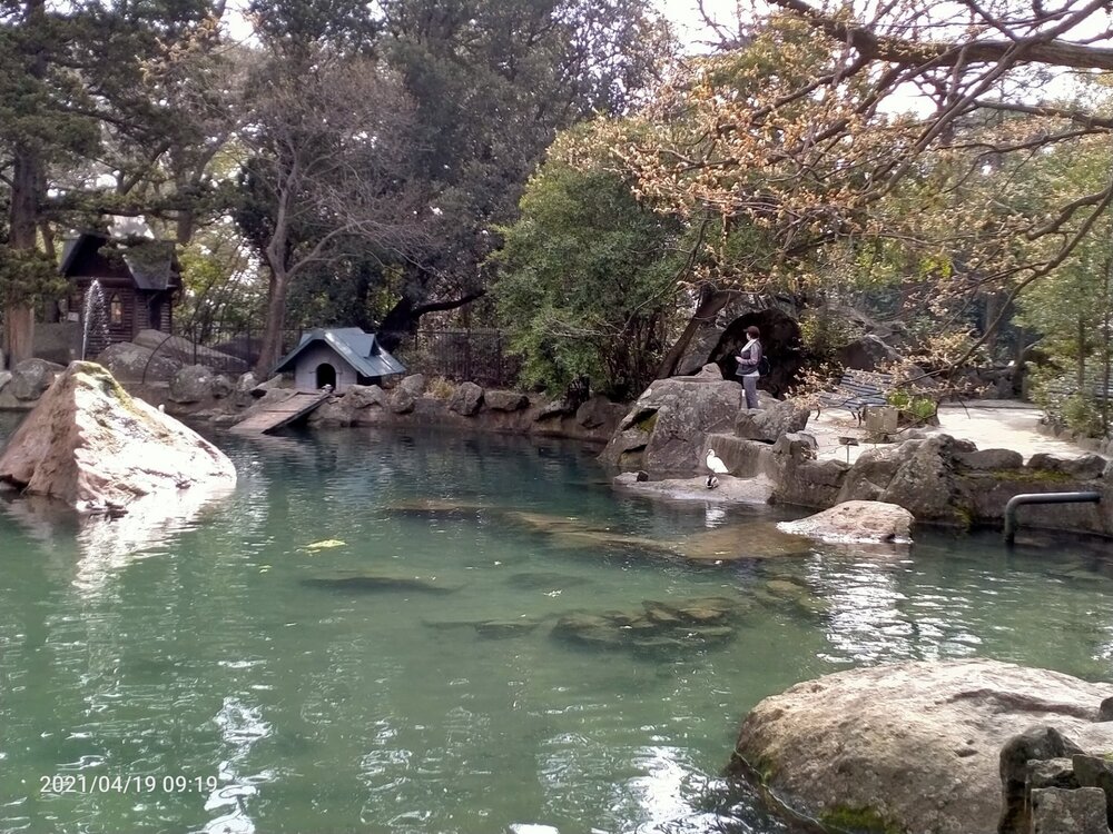 Фото крыма 901.jpg