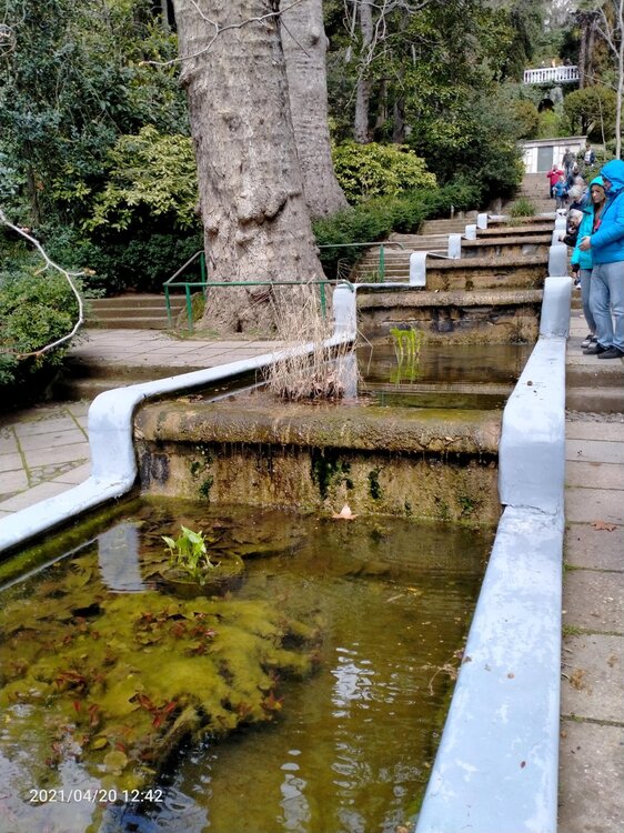 Фото крыма 1695.jpg