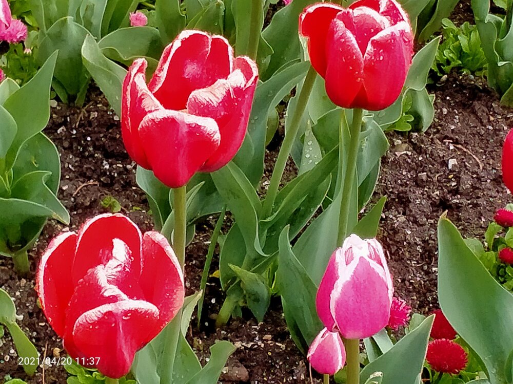 Фото крыма 1532.jpg