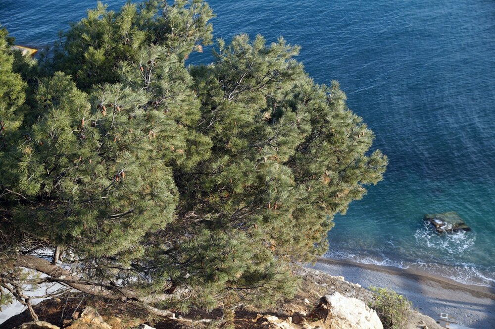 21_Вилла Ханакс_14.JPG