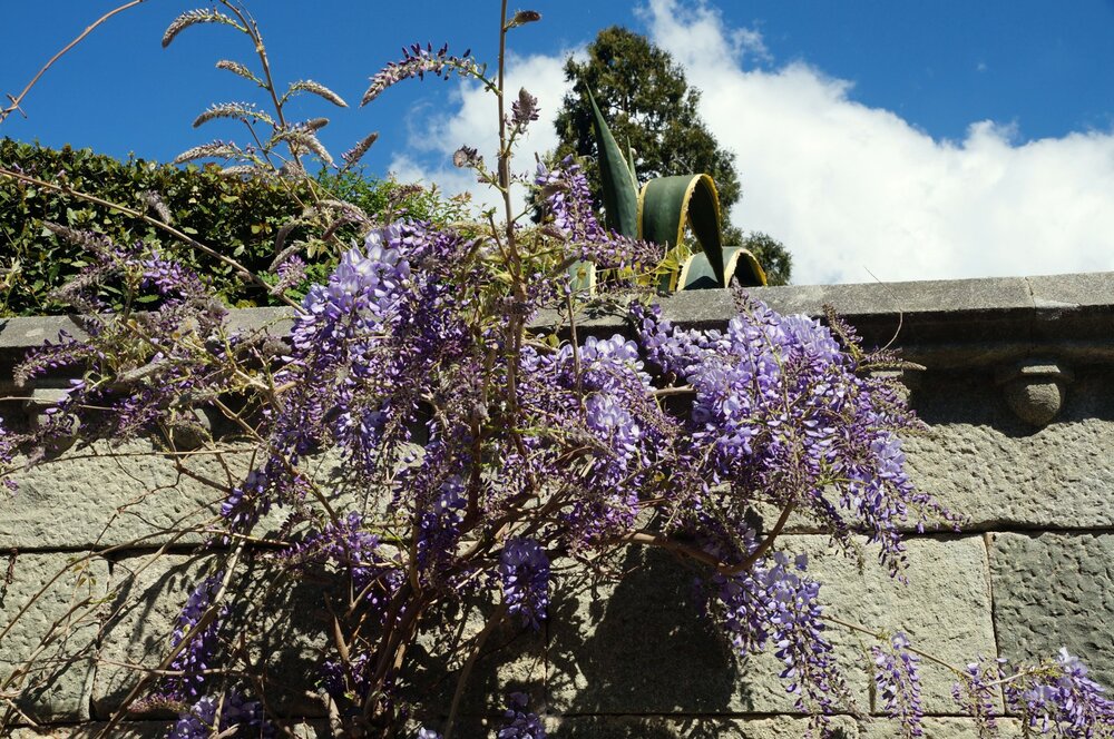 19_Воронцовский дворец_04.JPG