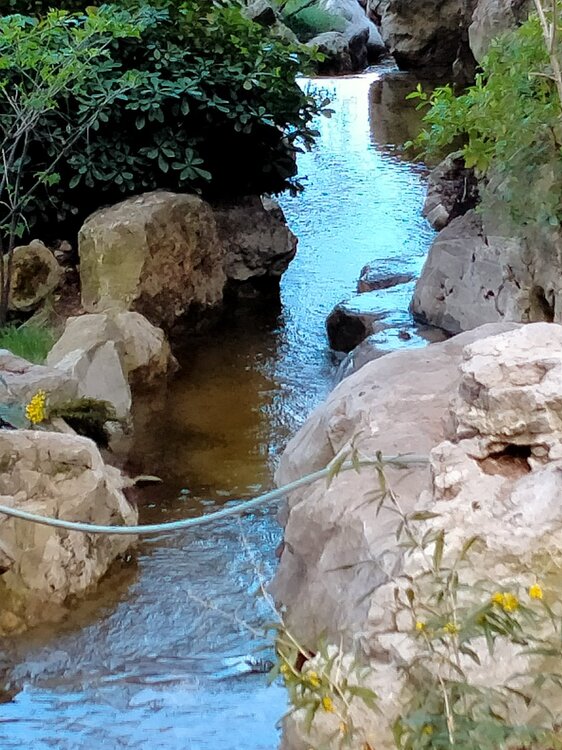 Фото крыма 2151.jpg