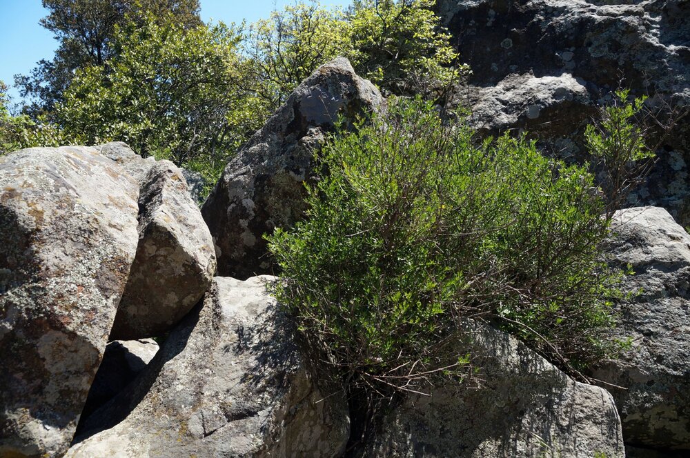 19_Воронцовский дворец_32_5.JPG