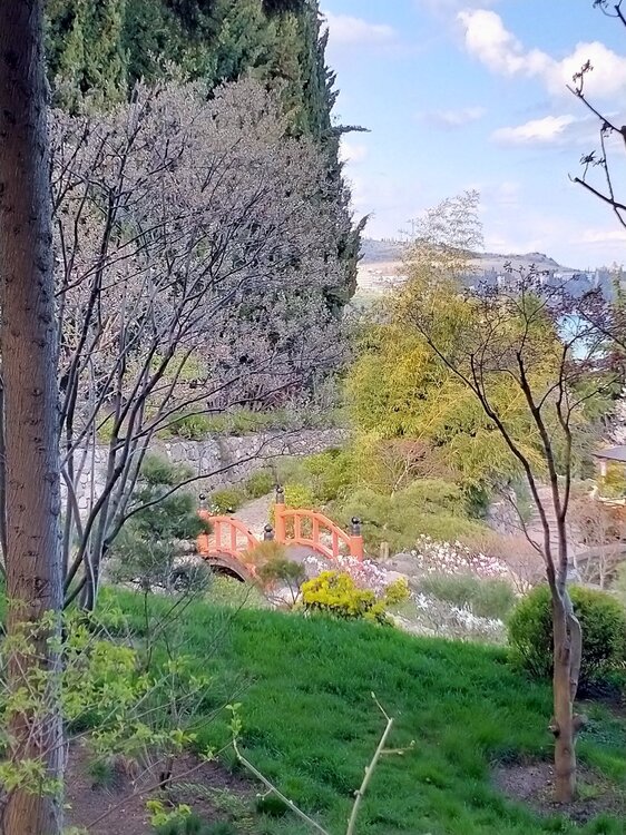 Фото крыма 2153.jpg