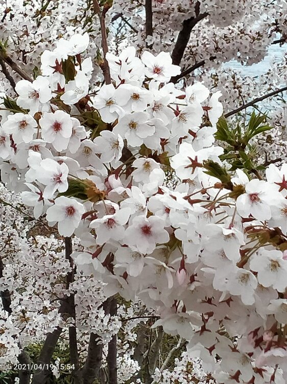 Фото крыма 1361.jpg