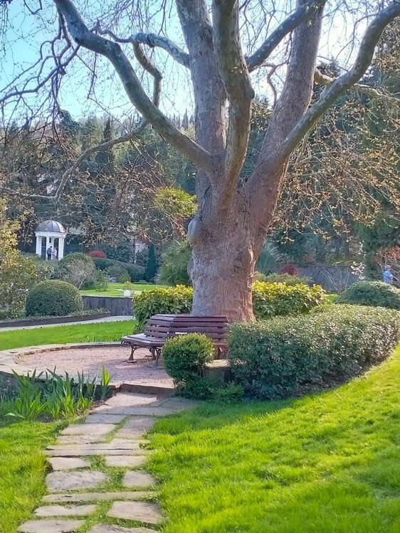 Фото крыма 2169.jpg