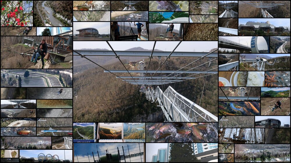 2021 Сочи 7 К небу.jpg