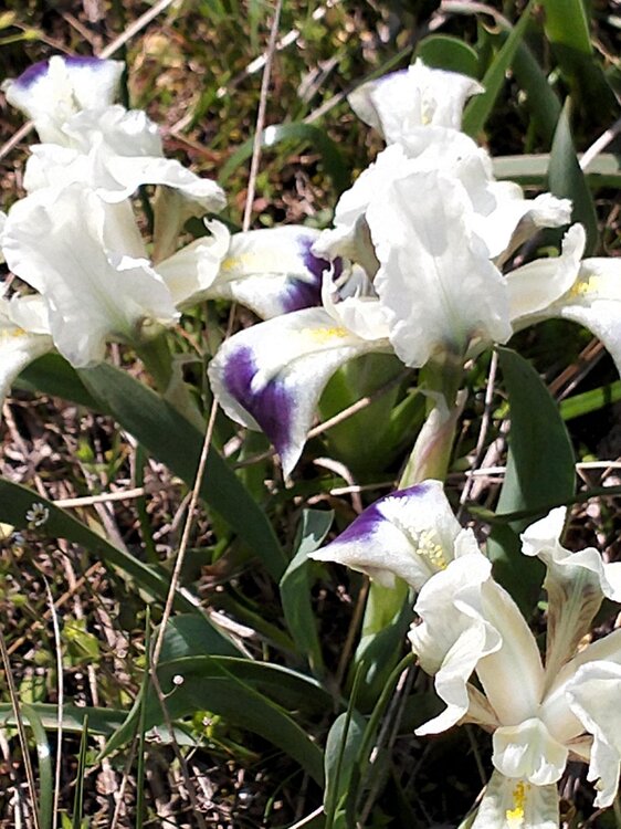 Фото крыма 2321.jpg