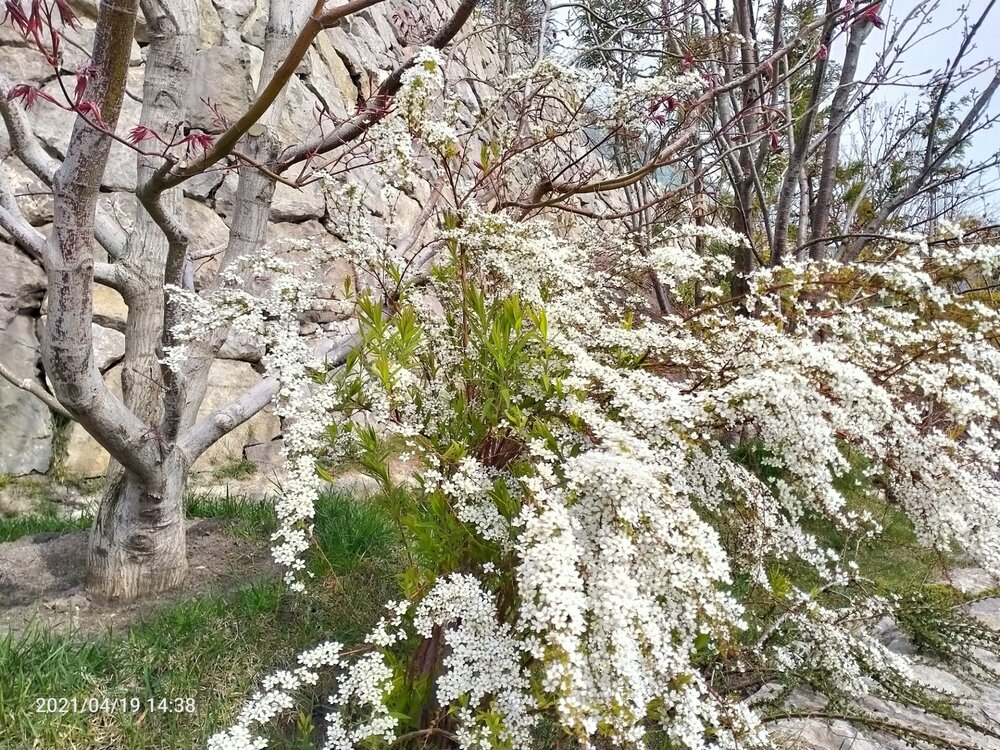 Фото крыма 1188.jpg