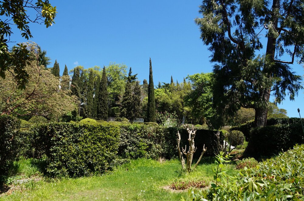 19_Воронцовский дворец_43.JPG