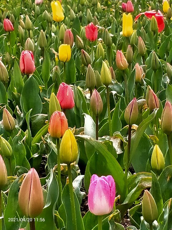 Фото крыма 1591.jpg