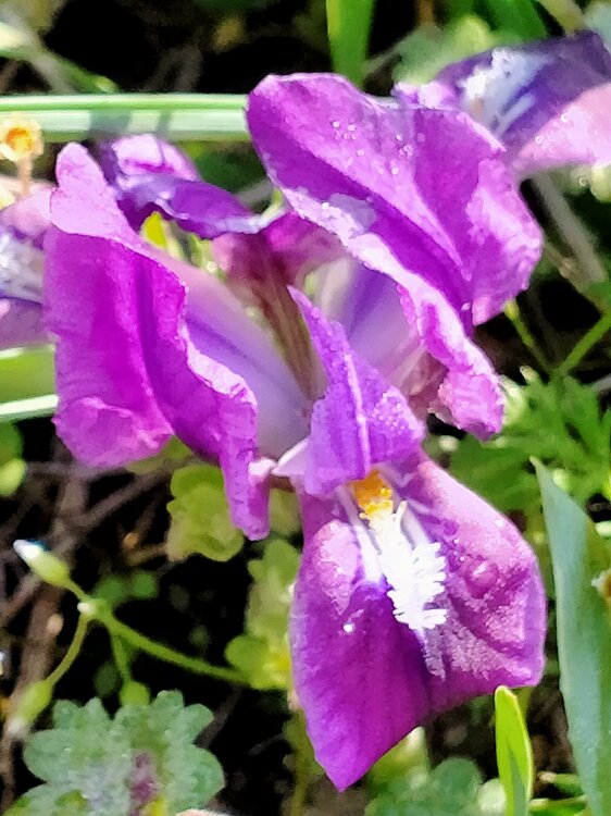 Фото крыма 2203.jpg