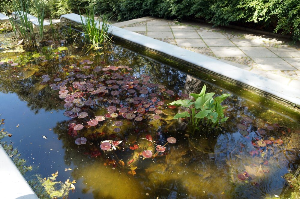 01_Никитский сад_29.JPG