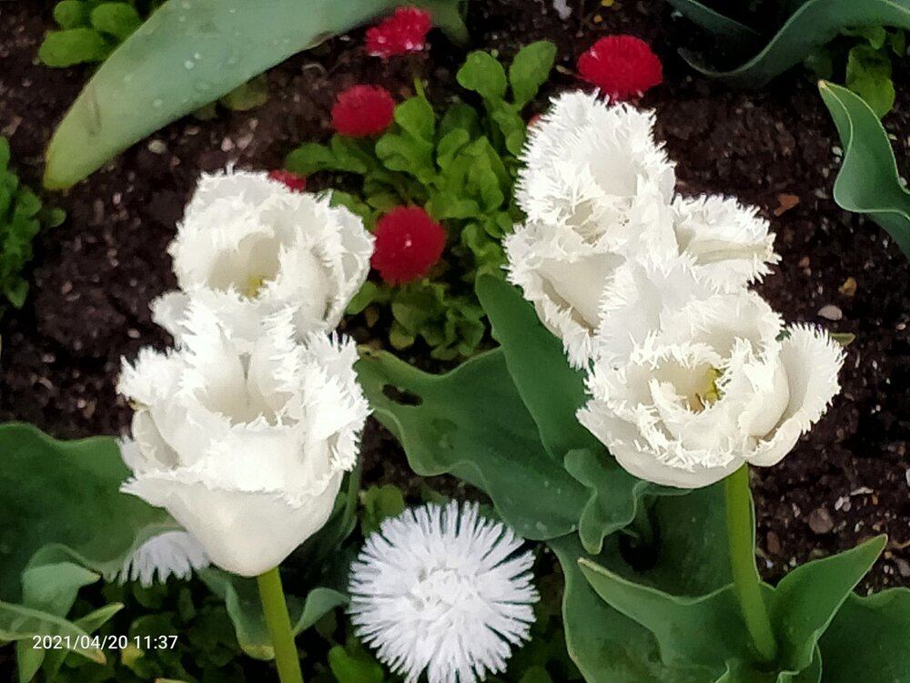 Фото крыма 1533.jpg