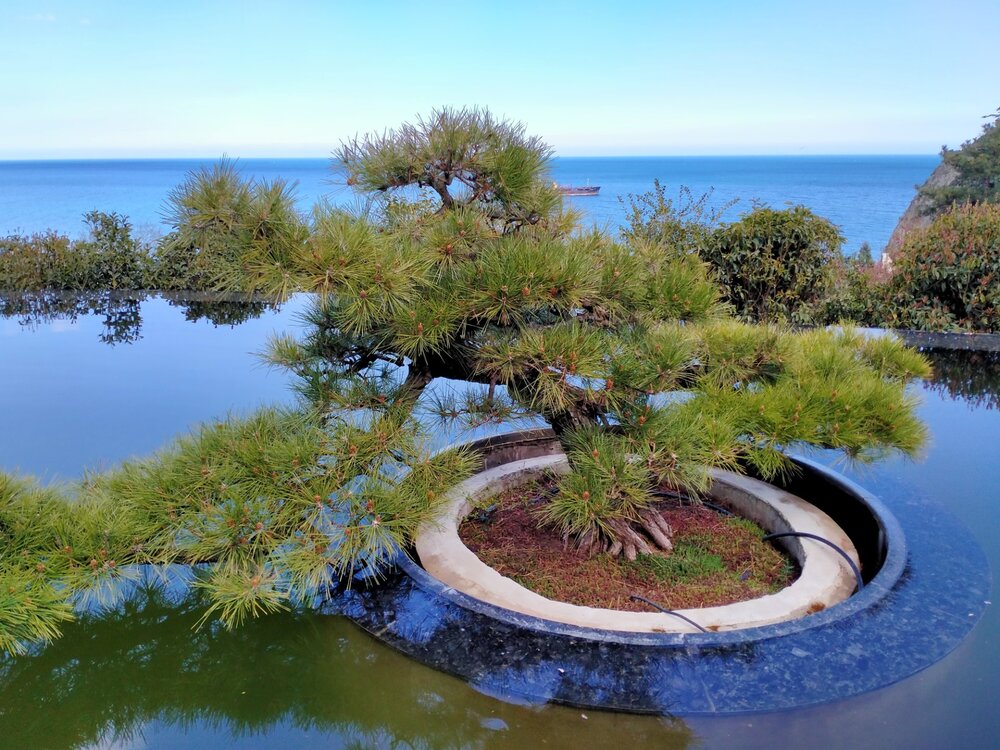 Фото крыма 2074.jpg