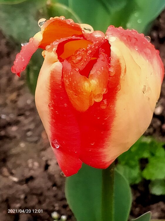 Фото крыма 1615.jpg