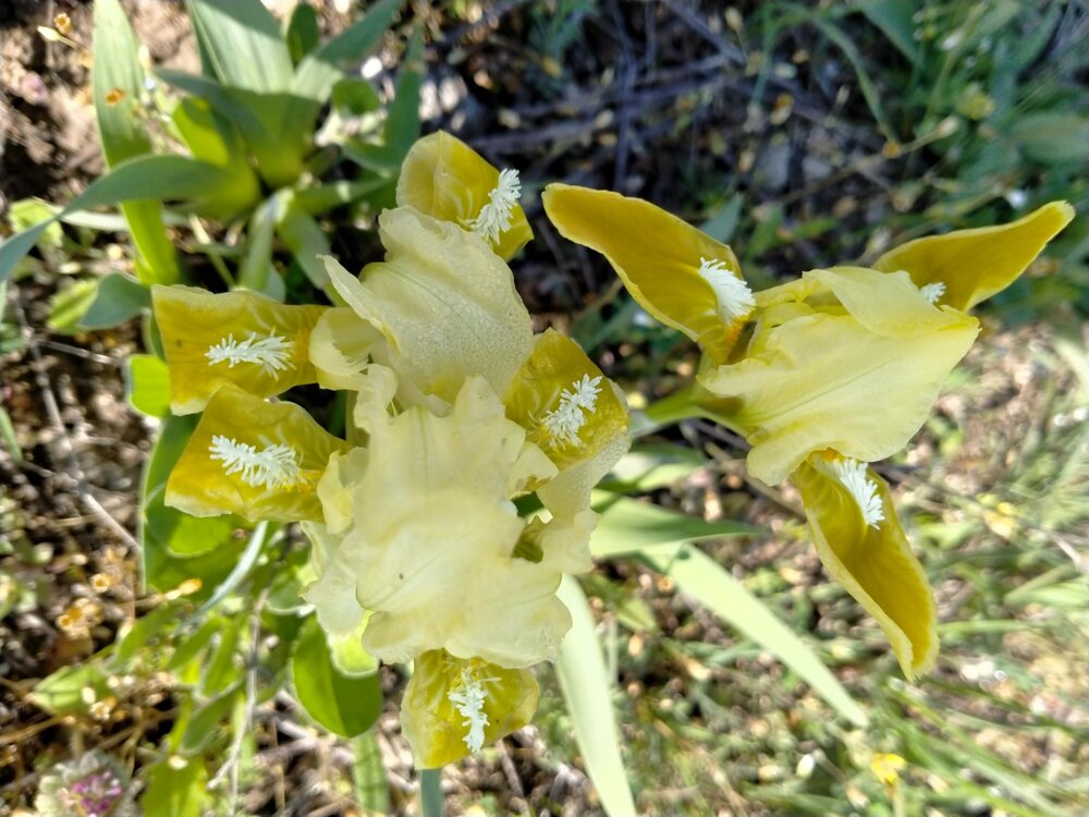 Фото крыма 2231.jpg