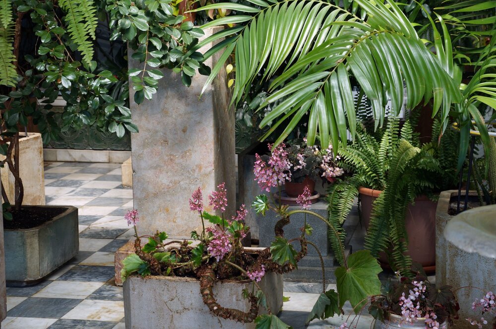 19_Воронцовский дворец_17.JPG