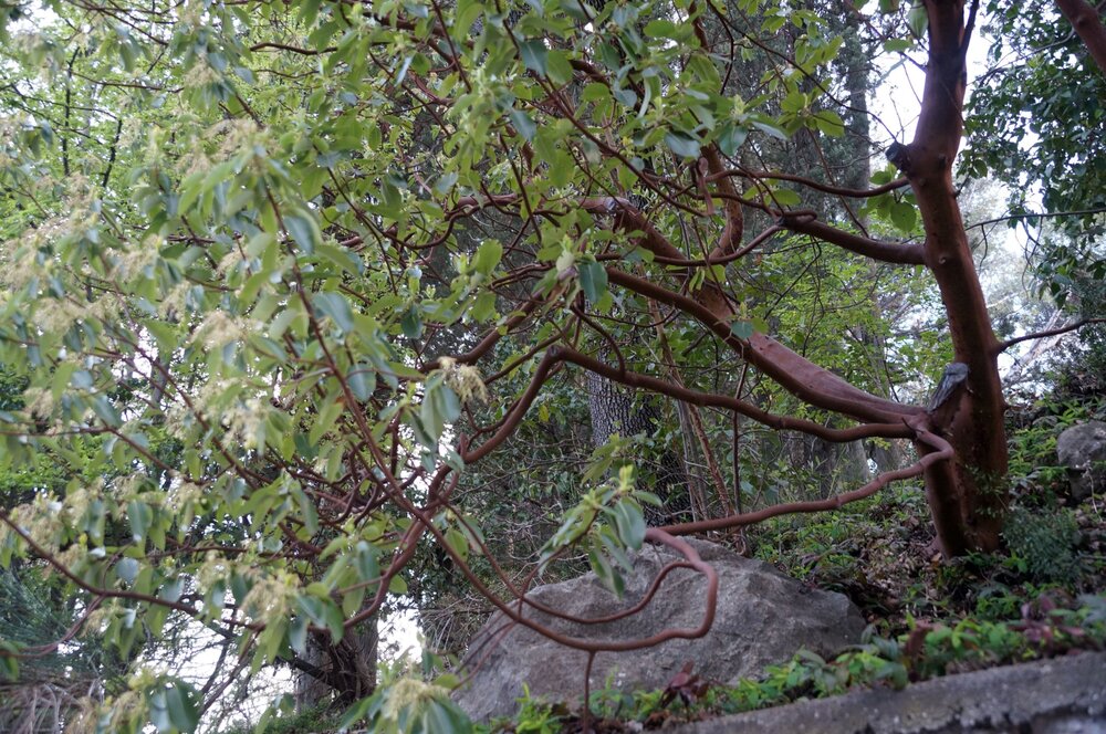 21_Вилла Ханакс_26.JPG