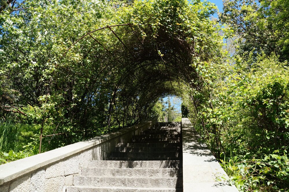 19_Воронцовский дворец_43_1.JPG