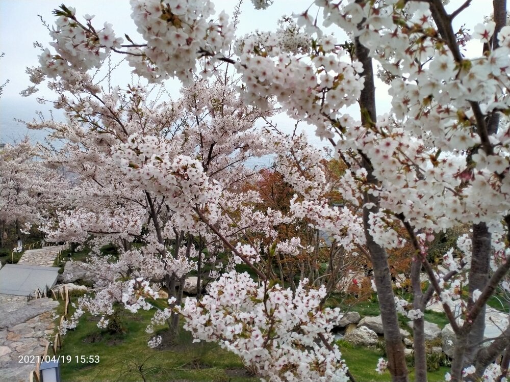 Фото крыма 1347.jpg