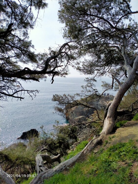 Фото крыма 954.jpg