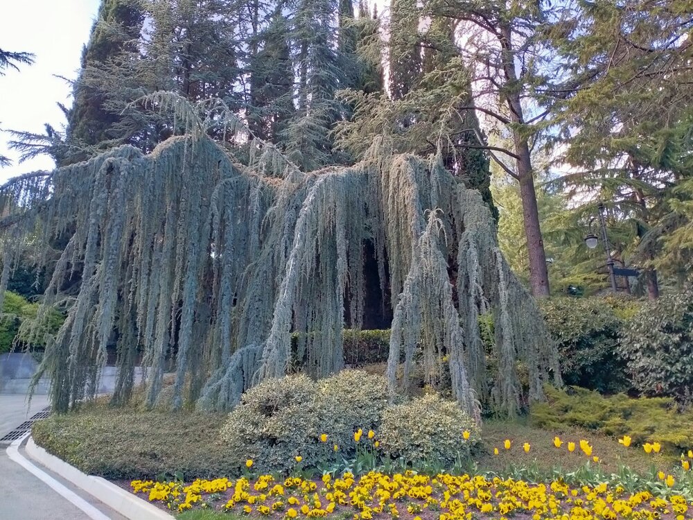 Фото крыма 2159.jpg