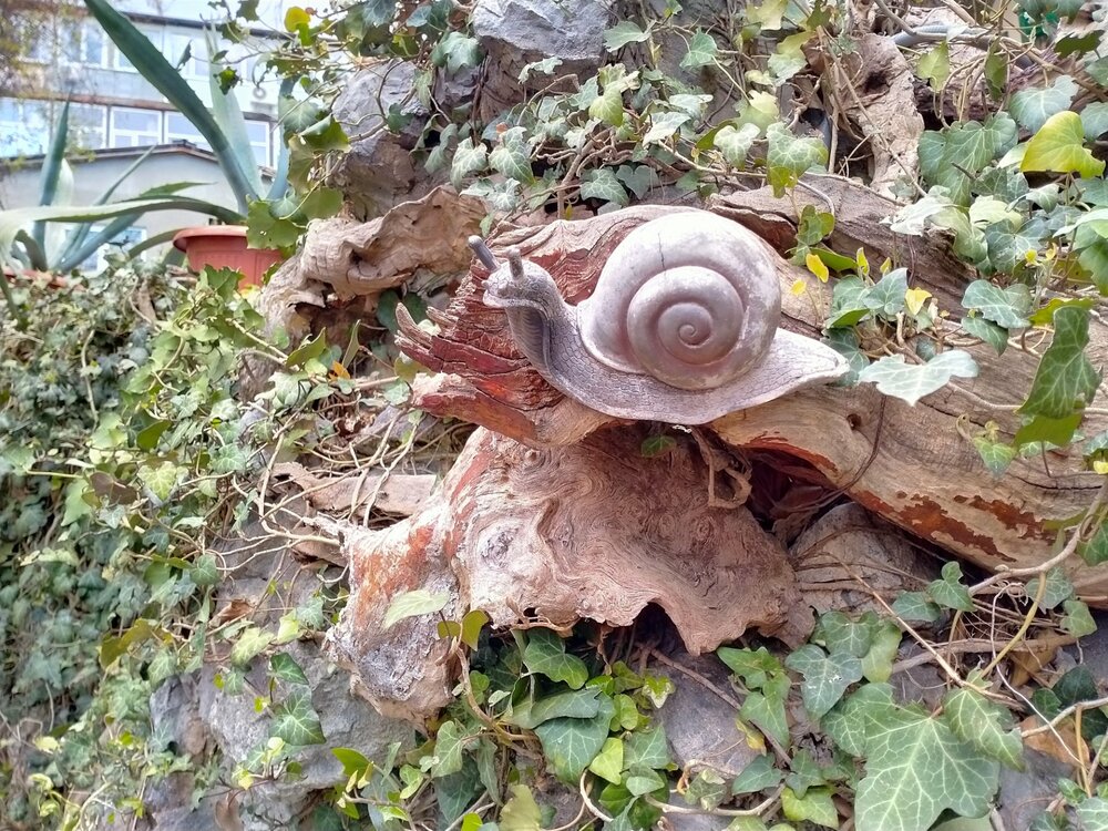 Фото крыма 1867.jpg