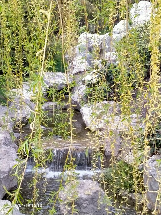 Фото крыма 1276.jpg