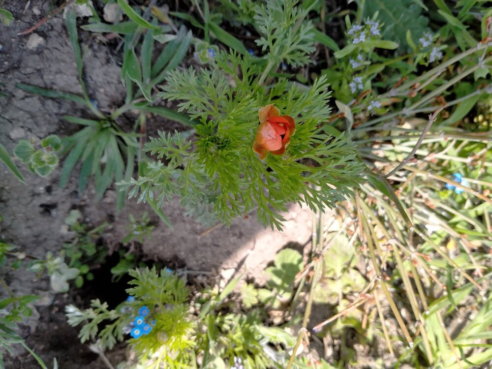 Фото крыма 2382.jpg