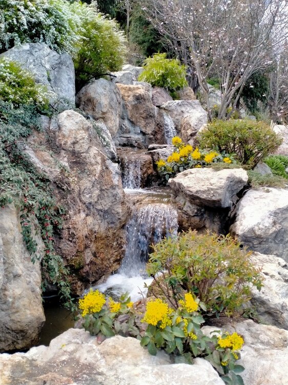 Фото крыма 1985.jpg