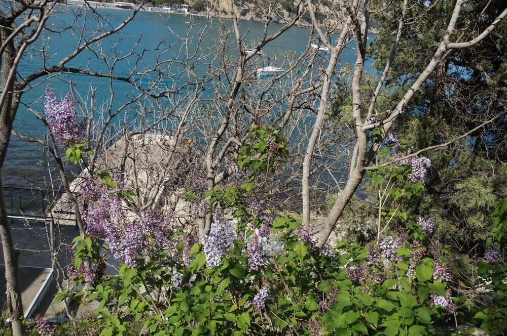 30_Тропа Голицына_05.JPG