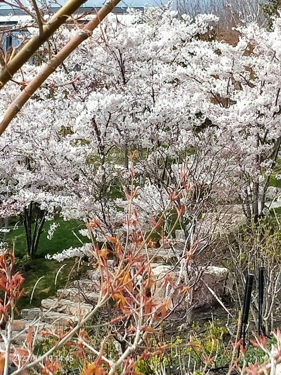 Фото крыма 1205.jpg