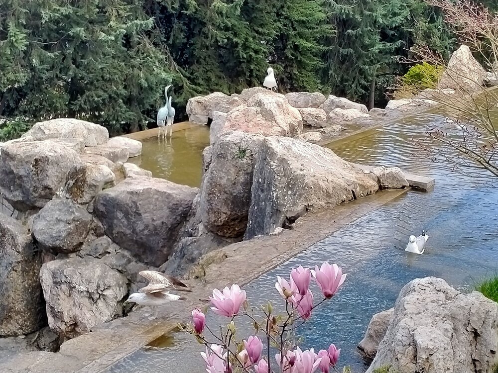 Фото крыма 1959.jpg