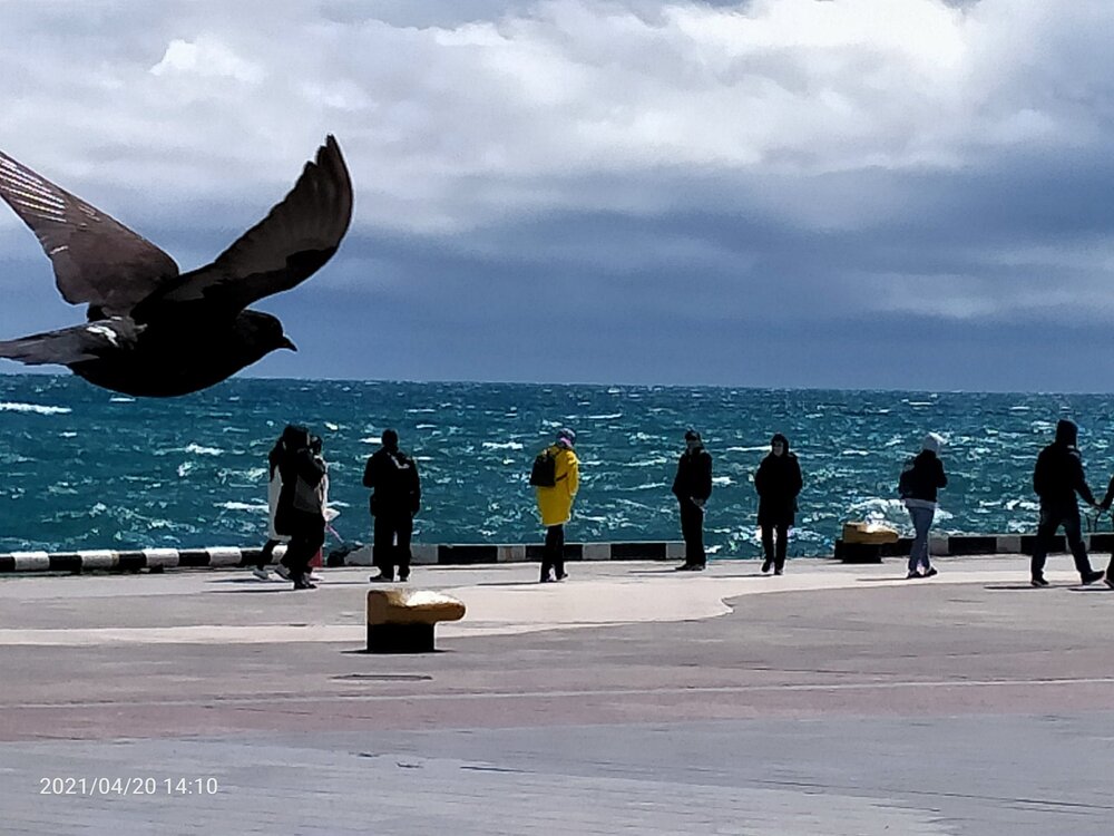 Фото крыма 1706.jpg