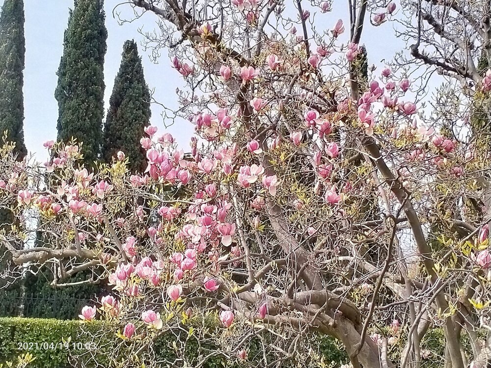 Фото крыма 974.jpg