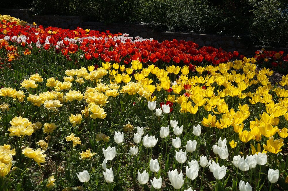 01_Никитский сад_18.JPG