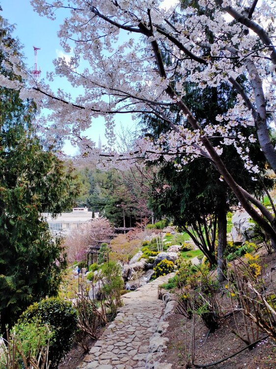 Фото крыма 2033.jpg