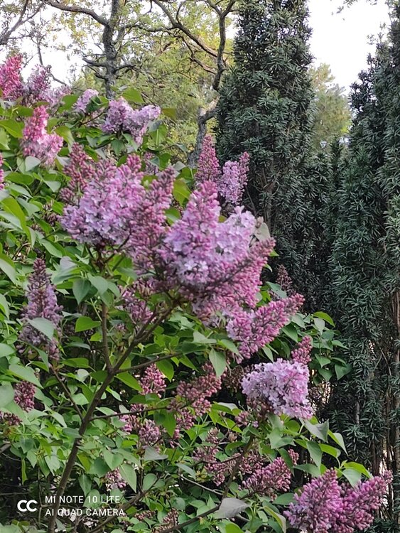 21_Вилла Ханакс_27.jpg