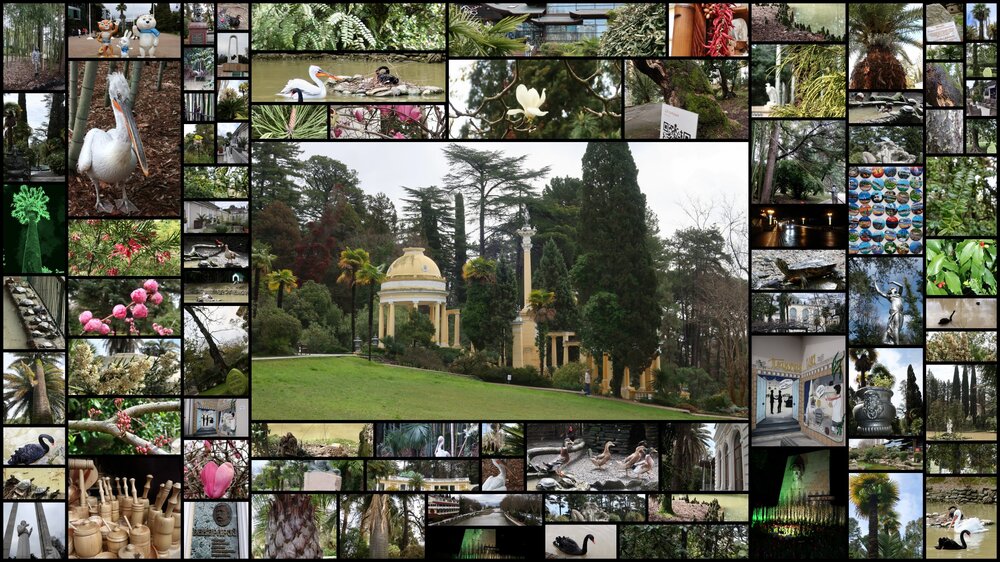 2021 Сочи 5 Кур.jpg