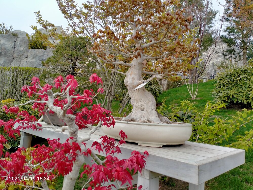 Фото крыма 1311.jpg