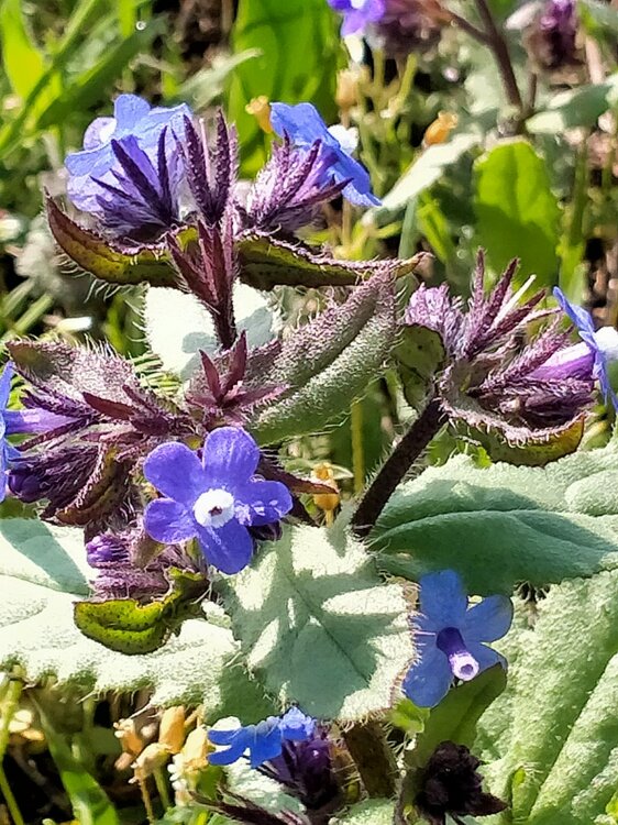 Фото крыма 2202.jpg