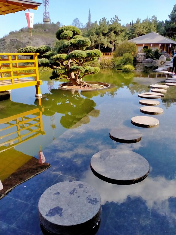 Фото крыма 2060.jpg