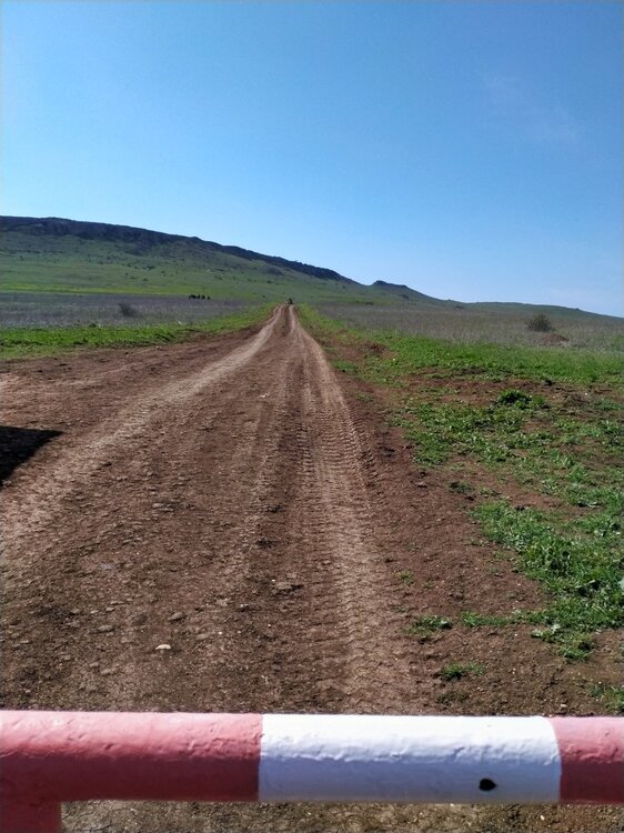 Фото крыма 2242.jpg