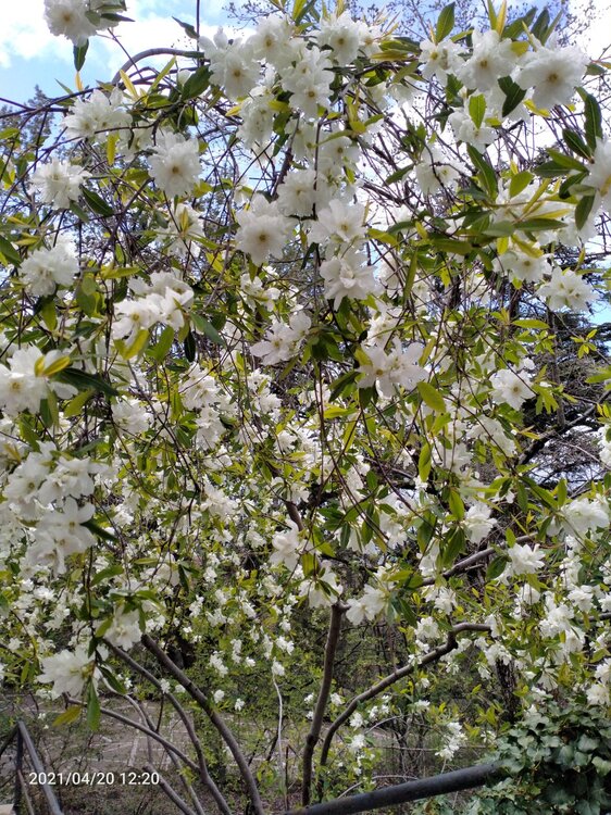 Фото крыма 1670.jpg