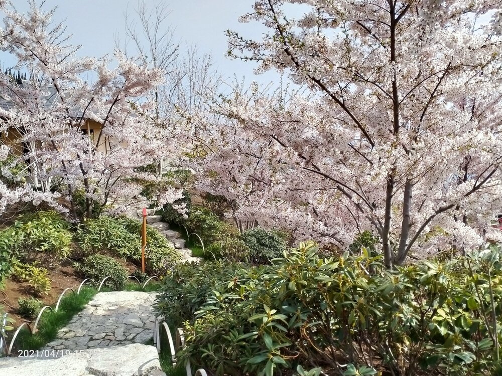 Фото крыма 1285.jpg