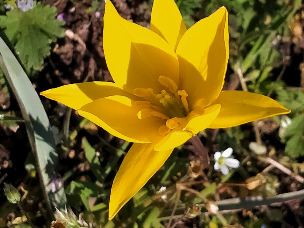 Фото крыма 2298.jpg