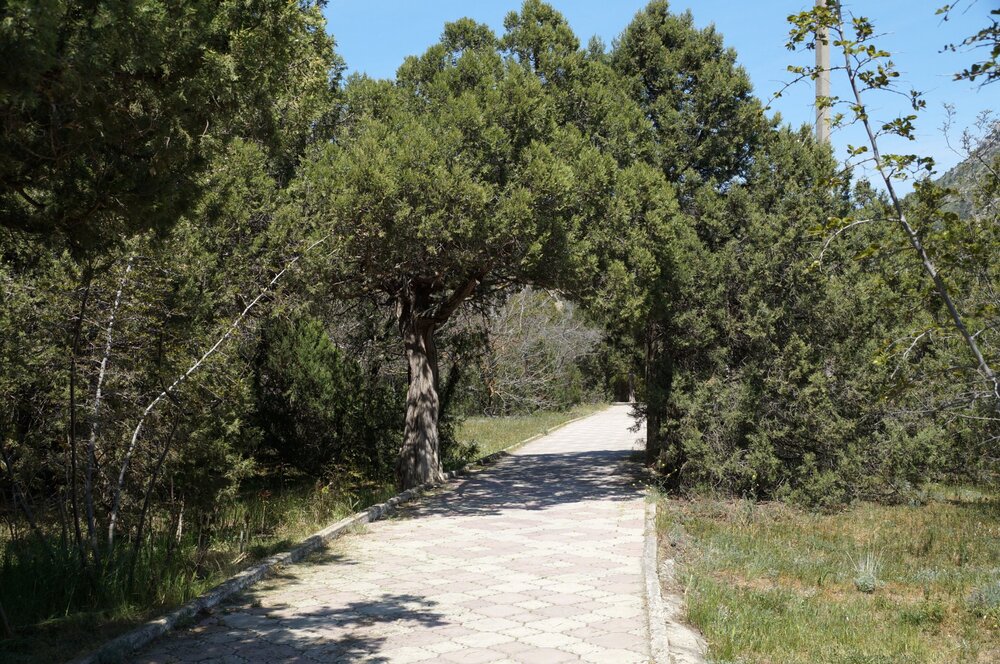 29_Дегустация Новый Свет_02.JPG