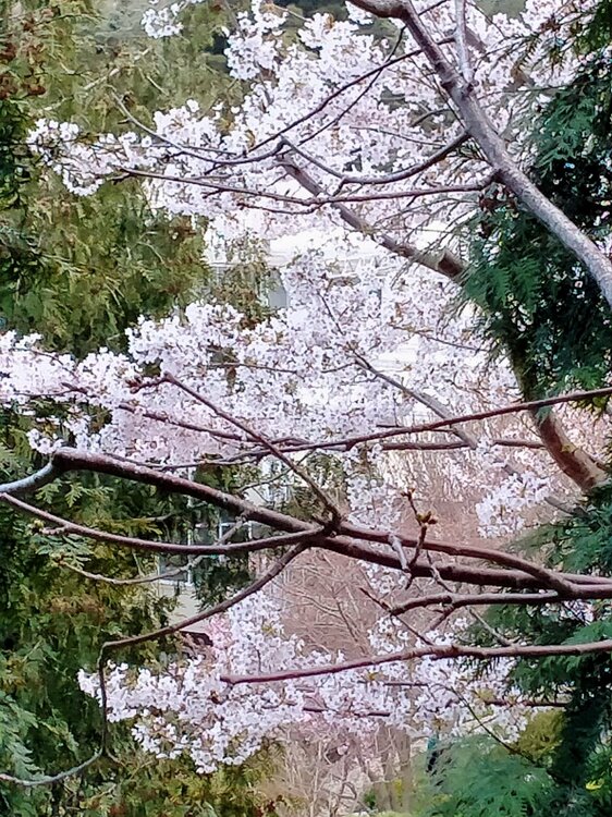 Фото крыма 2037.jpg